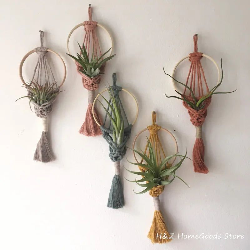 Boho Air Plant Holder Tapestry Collection - DKLOR -  -  