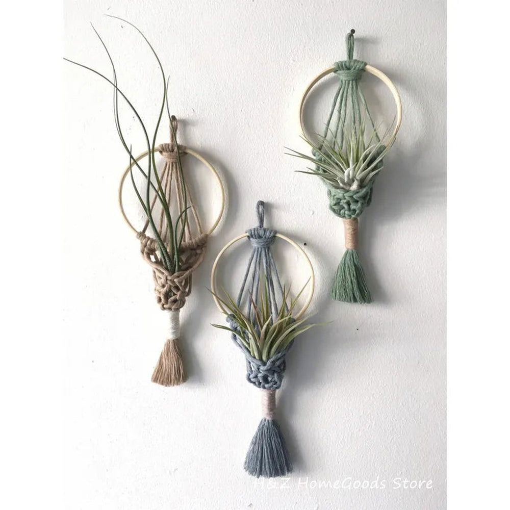 Boho Air Plant Holder Tapestry Collection - DKLOR -  -  