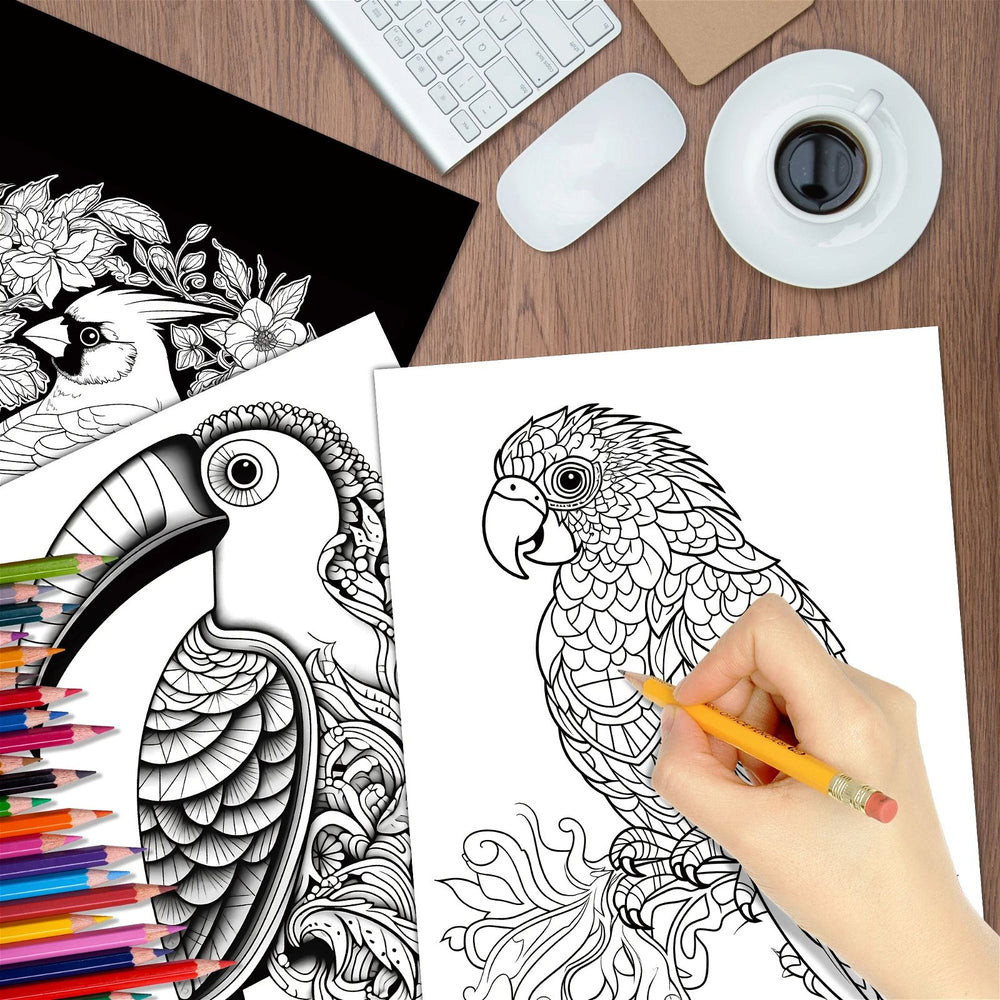 Relaxing Coloring Art Book - Animal Artistry Series - DKLOR -  -  